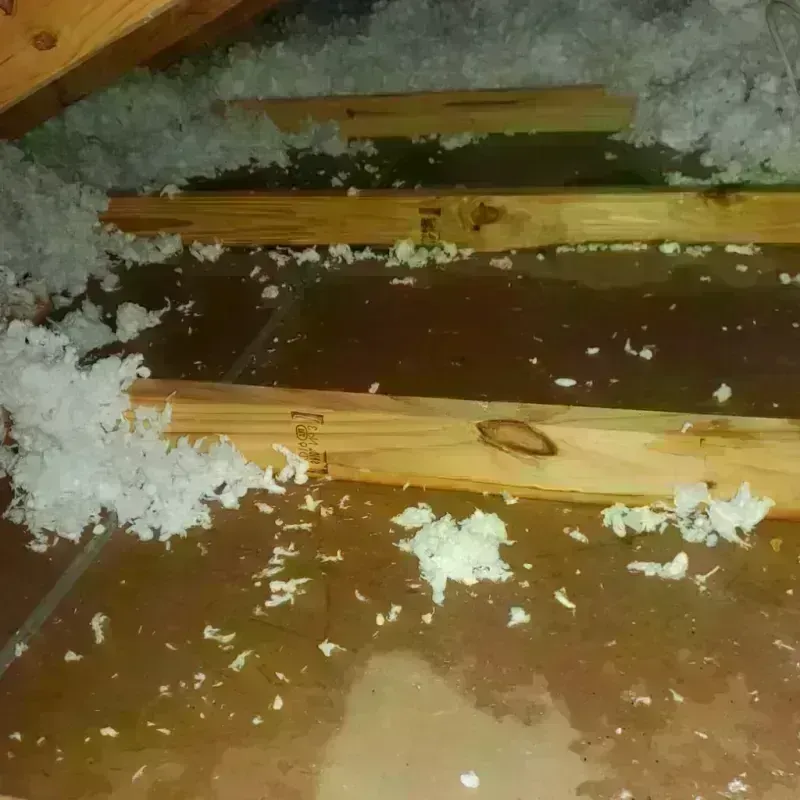 Attic Water Damage in Garland, ME