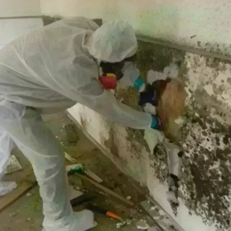 Mold Remediation and Removal in Garland, ME